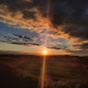 Meet your Posher, Isabella